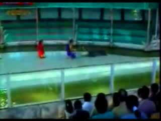 Човек Си Играе С Алигатор