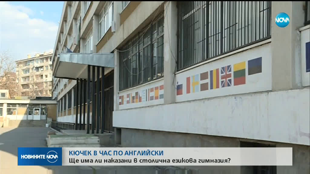 Новините на NOVA (19.03.2019 - обедна емисия)