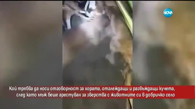 Мъж беше арестуван за зверства със собствените си животни