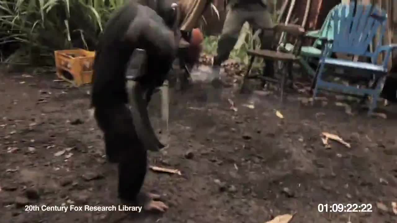 Маймуна стреля с калашник модел Ak-47