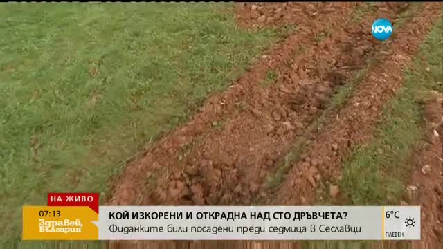 Кой изкорени и открадна 100 фиданки?