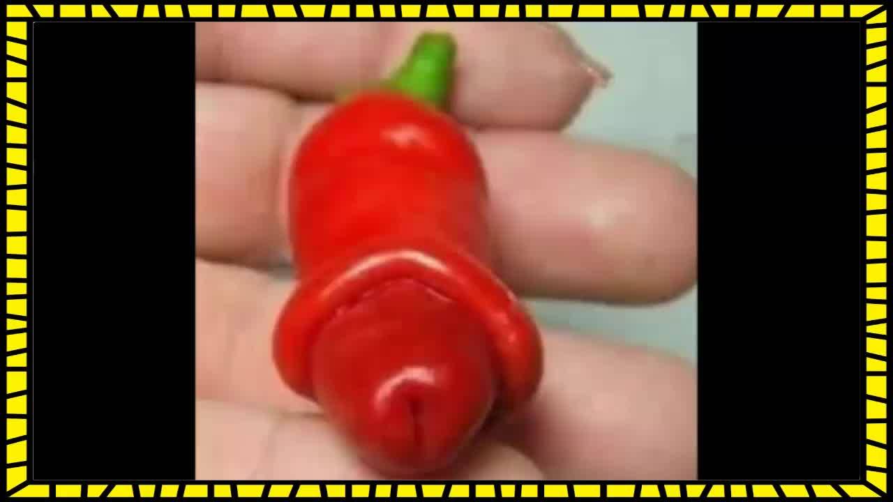45 странни и забавни плодове и зеленчуци които няма как да не ви разсмеят