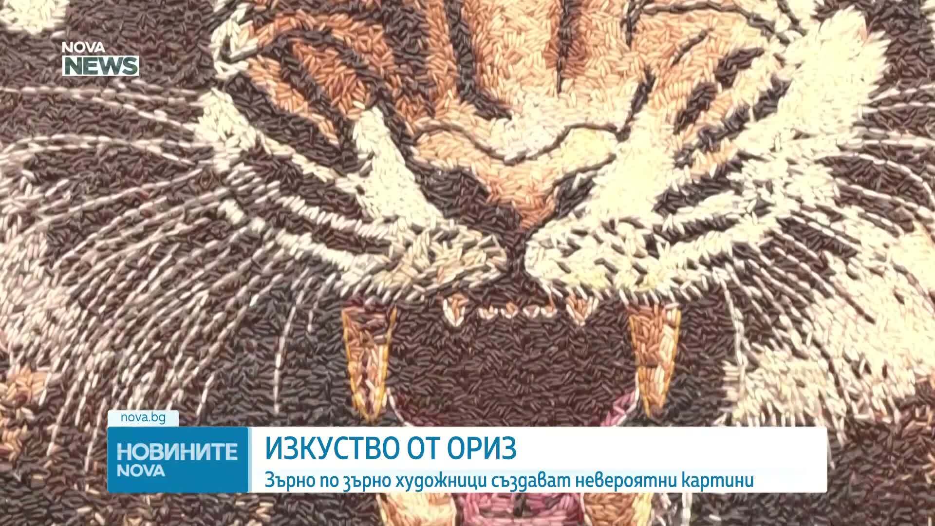 Изкуство от ориз: Зърно по зърно художници създават невероятни картини