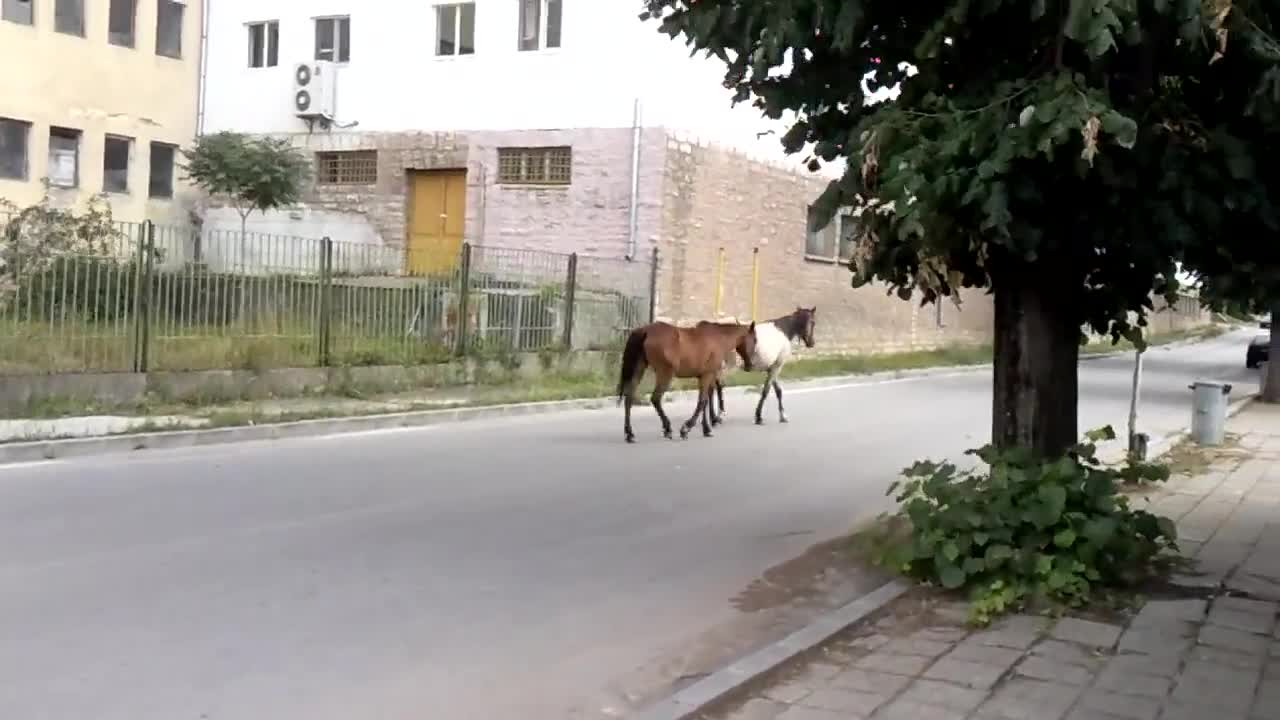 Белоградчик в разгара на туристическия сезон