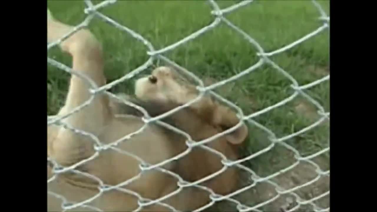 След 13 години на свобода...
