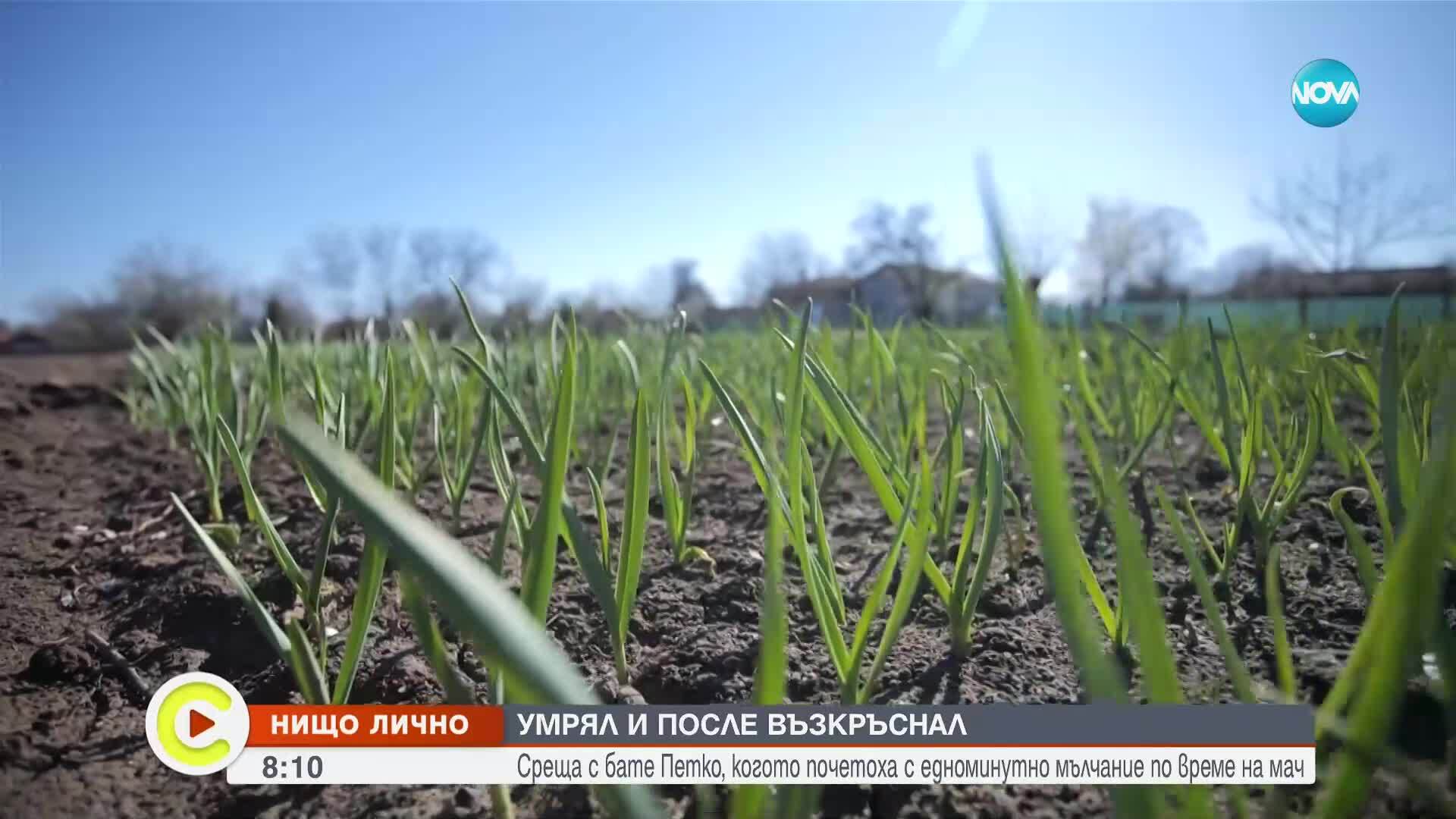 Възкръсналият Петко Ганчев: Ще ида на стадиона и ще кажа пред всички, че съм жив