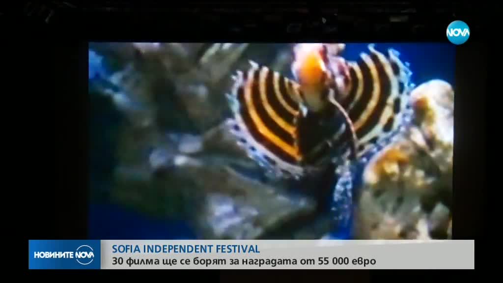 SOFIA INDEPENDENT FESTIVAL: 30 филма се борят за наградата от 55 000 евро