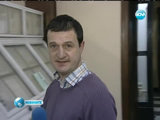 >Китайски калинки-алигатори нападат растенията у нас