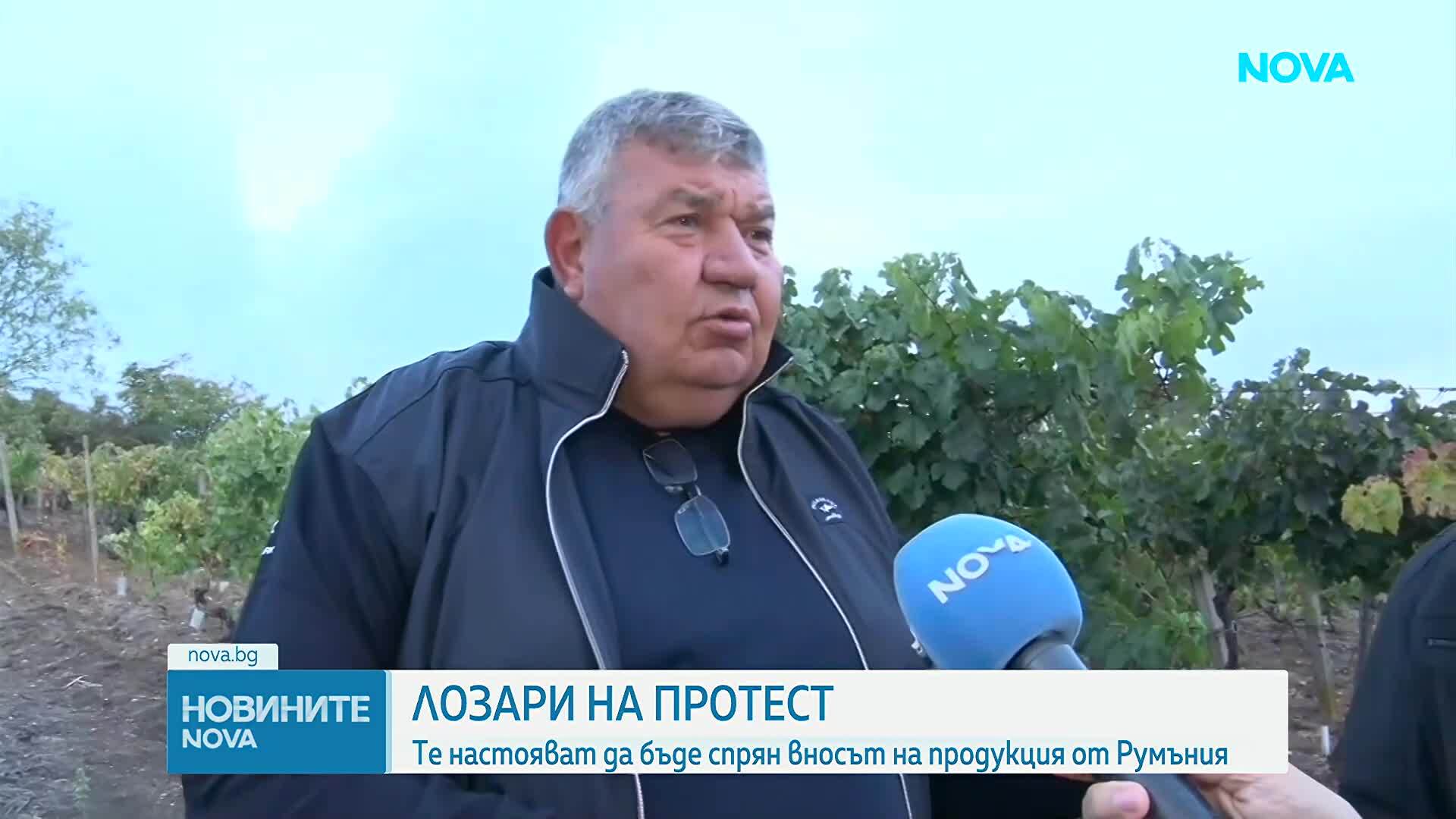 Гроздето у нас остава необрано, лозари излизат на протест в Свиленград