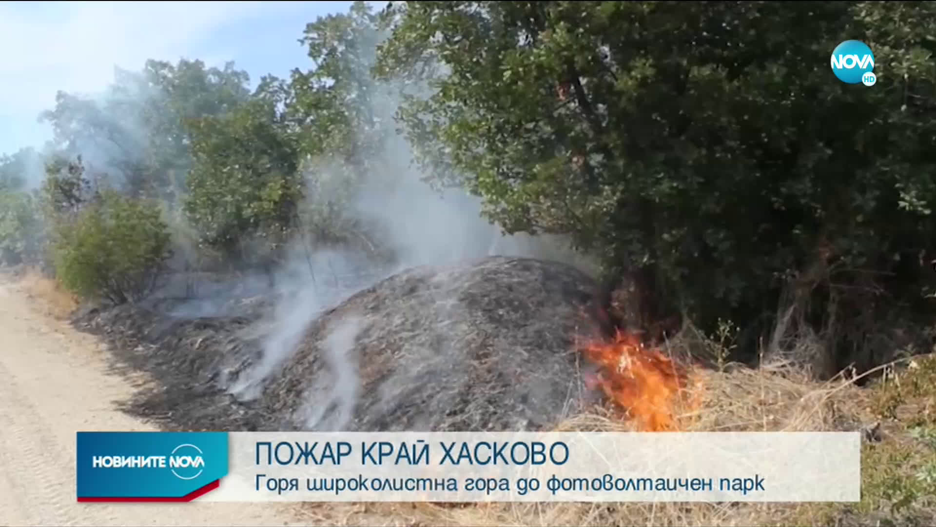 Овладяха пожара между Хасково и Димитровград
