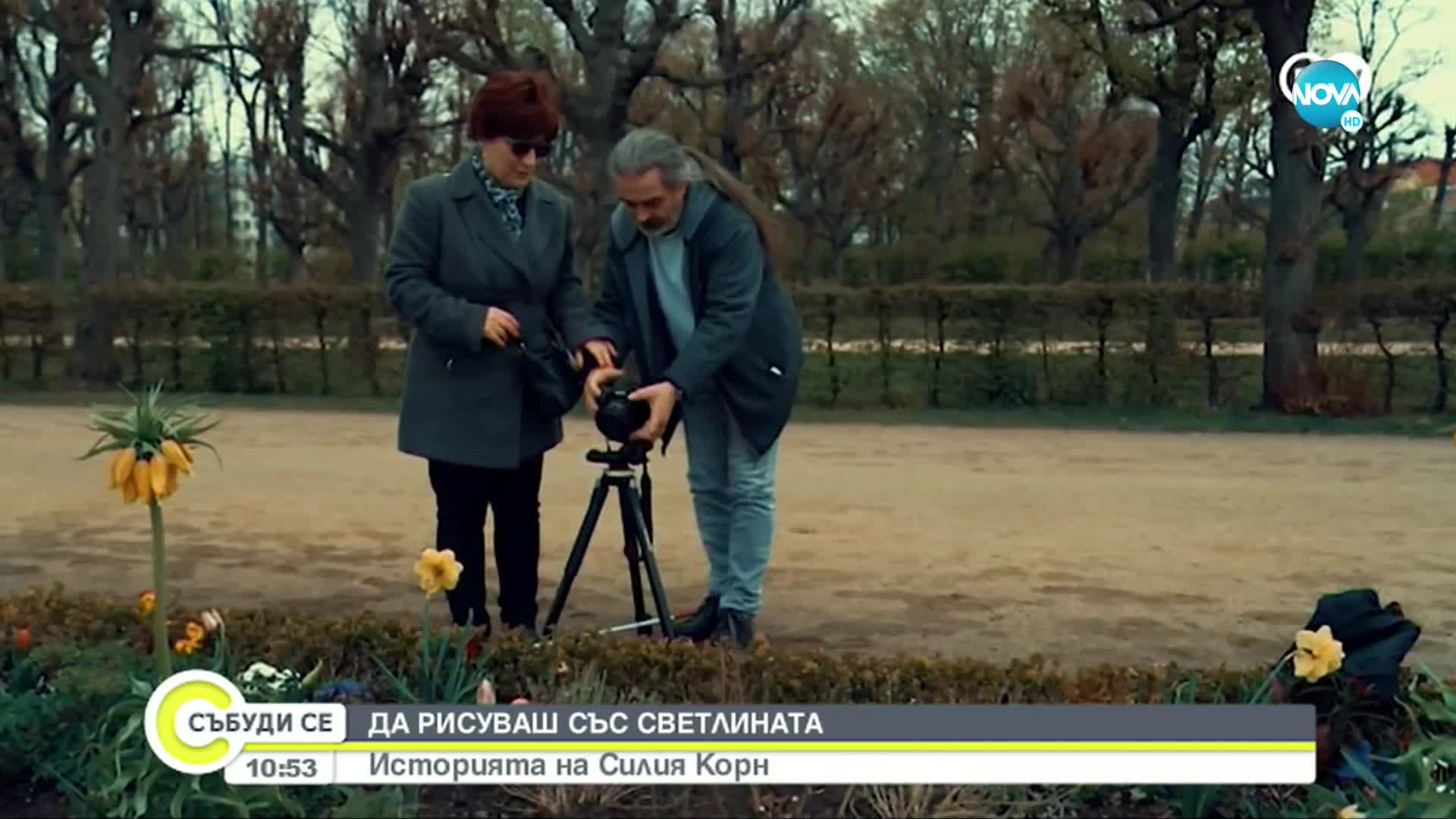 Да рисуваш със светлината: Историята на Силия Корн
