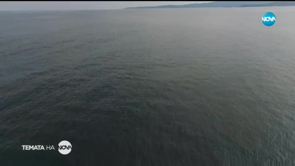 Темата на NOVA: Колко са потъналите кораби по дъното на Черно море?