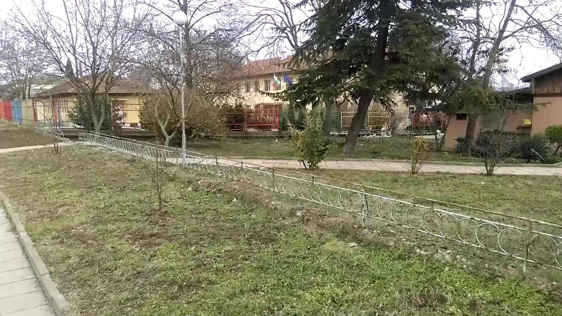 Бездомните кучета