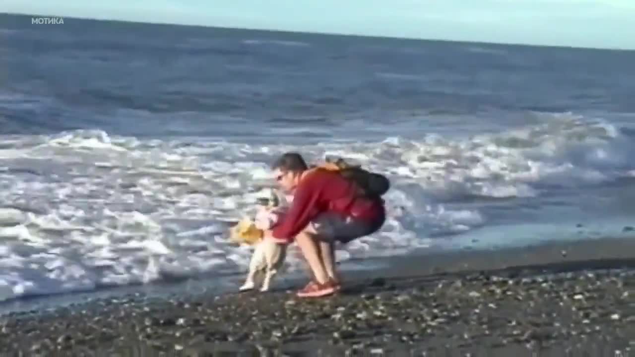 Бащи супер герои