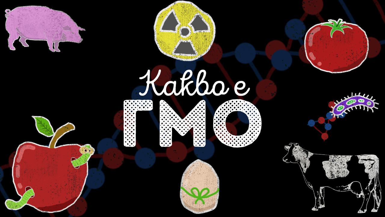 Знаете ли какво е ГМО наистина?!