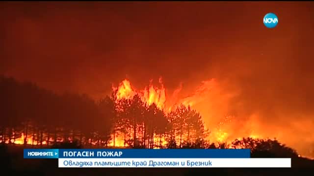 Овладяха пожара в местността "Каракос"