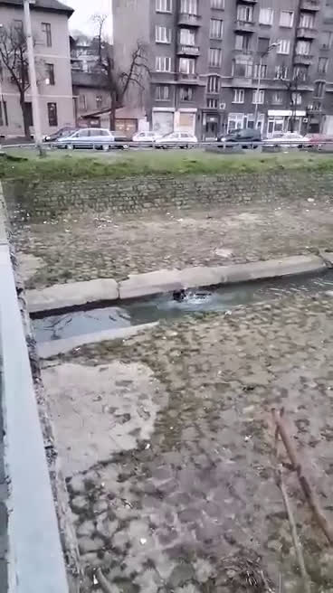 Инциденти
