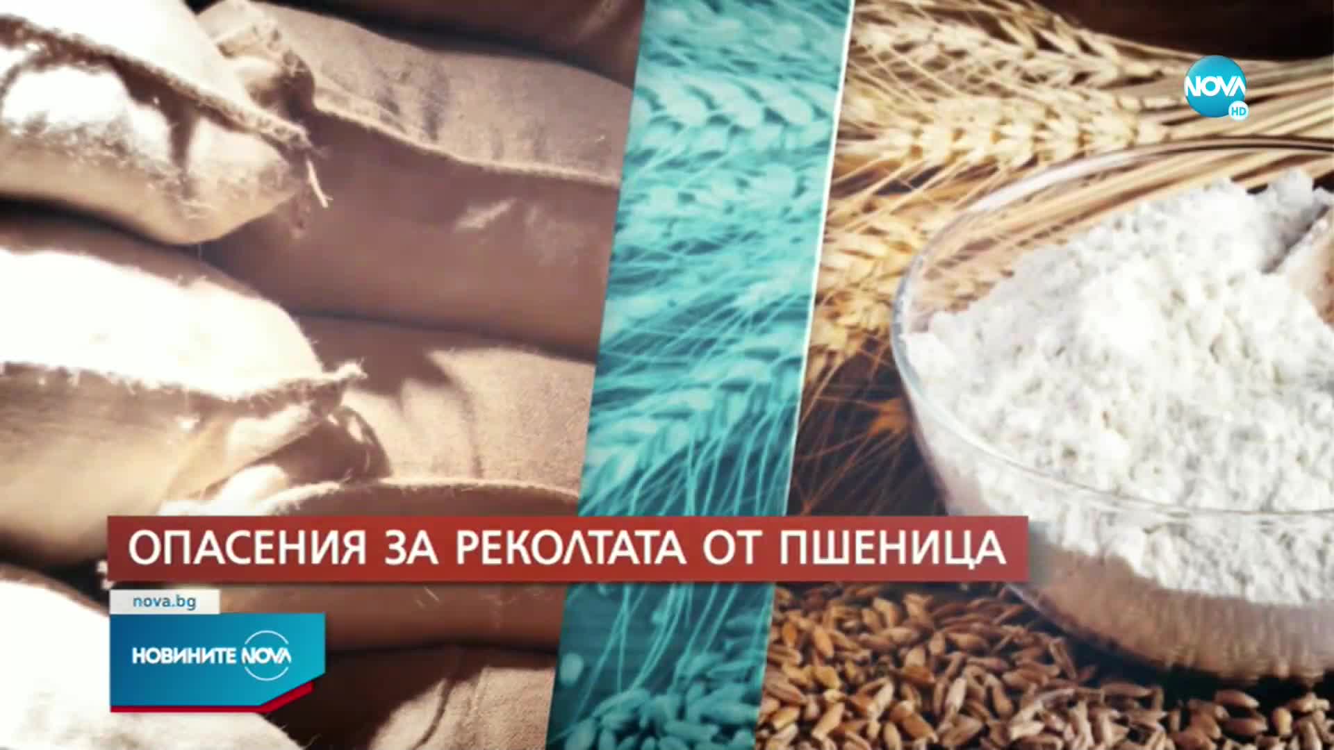 Новините на NOVA (07.01.2023 - обедна емисия)