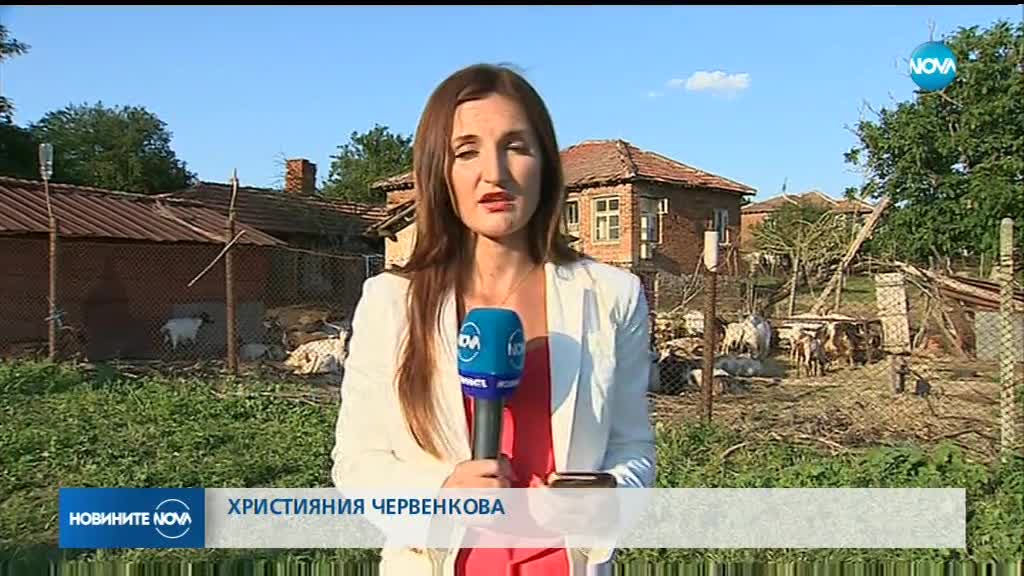 Новините на NOVA (15.07.2018 - централна емисия)
