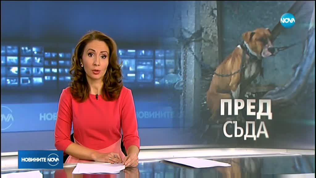 Новините на NOVA (02.02.2018 - късна)