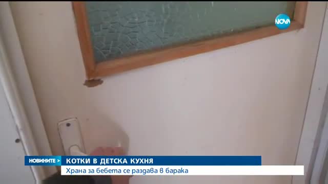 Котки в детска кухня – храна за бебета се раздава в барака