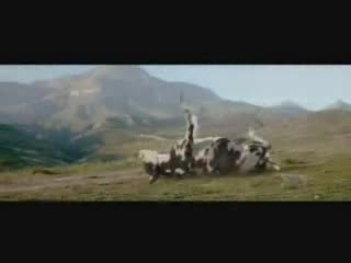 Matrix Cow ( Бой Мъж Срещу Крава )
