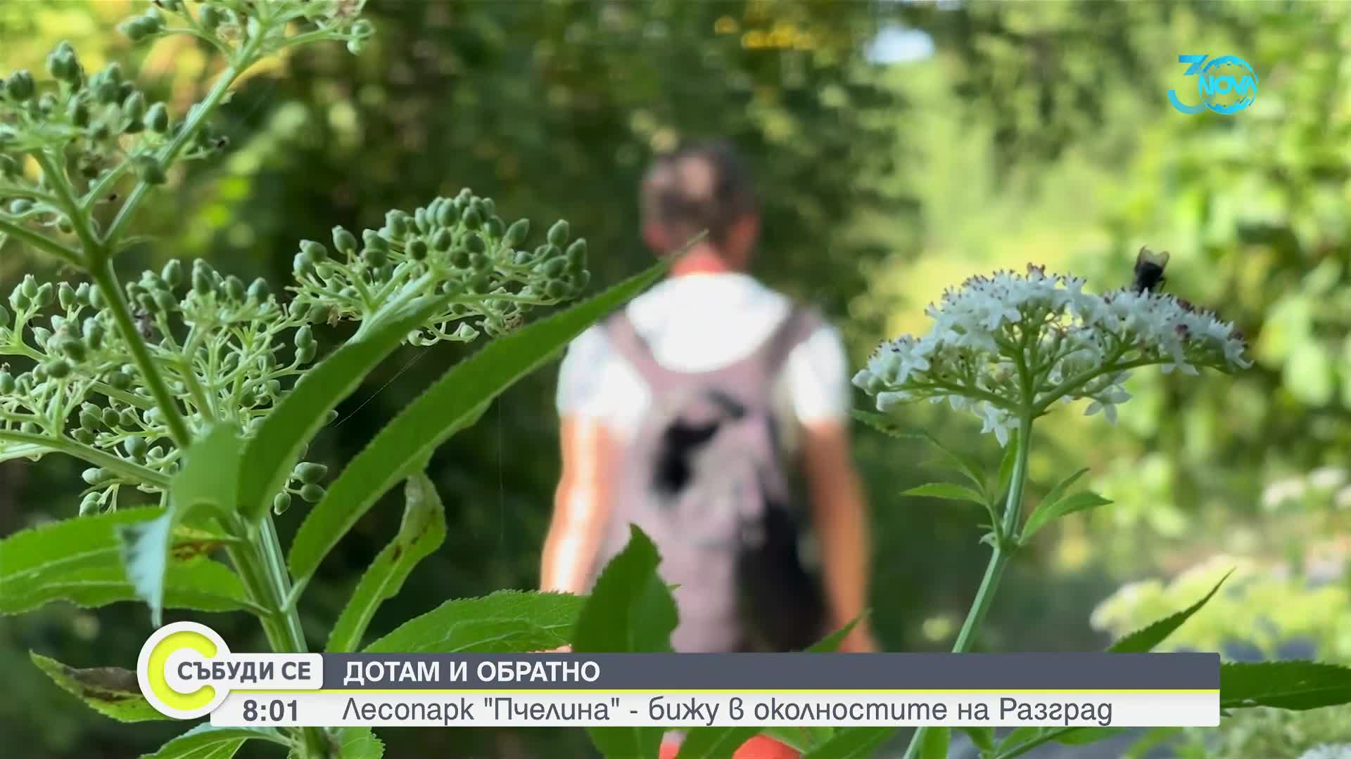 Лесопарк „Пчелина” – бижу в околностите на Разград