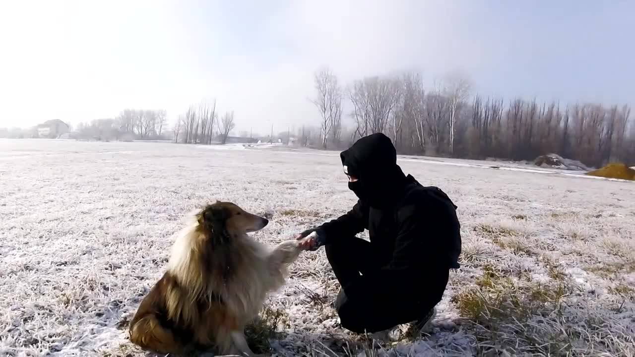 Да намериш най-добрият ти приятел!