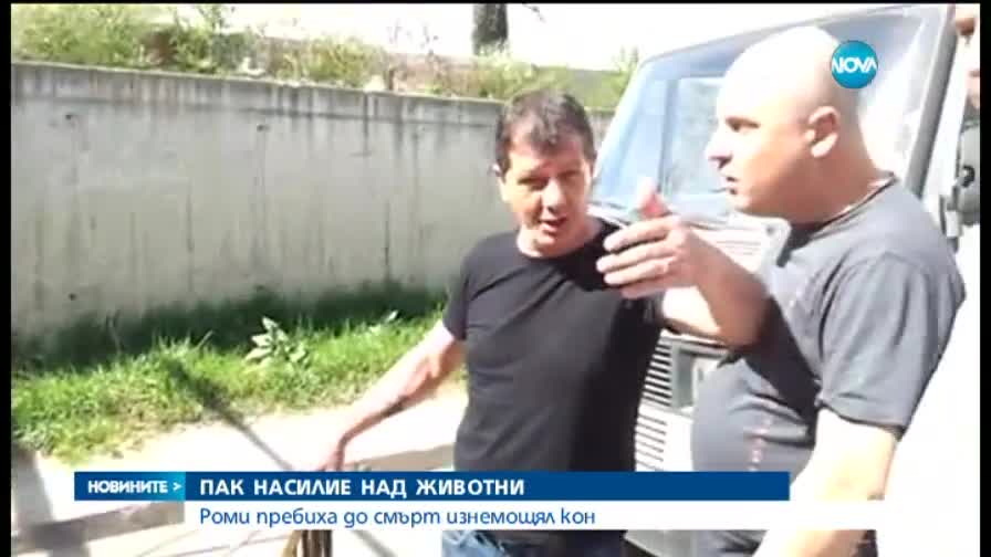 Роми пребиха изнемощял кон
