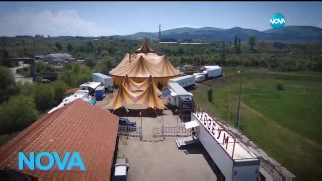 Темата на NOVA: Магията на цирка