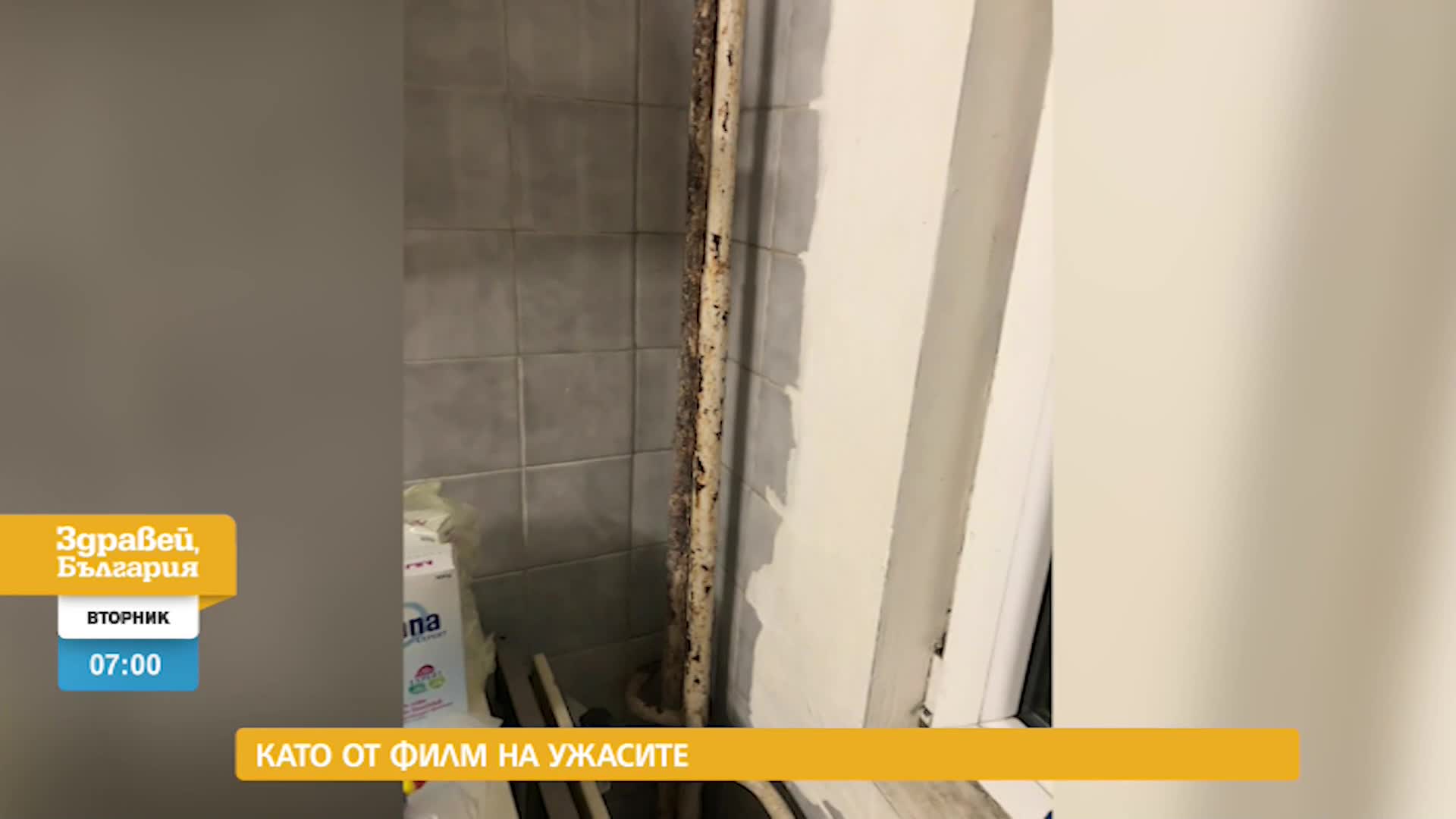 В „Здравей, България” на 26 юли очаквайте