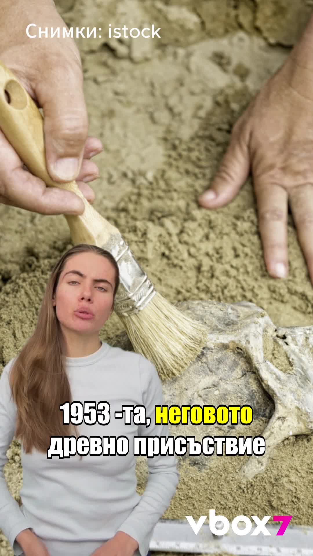 Учени откриха най-стария вирус?🦠