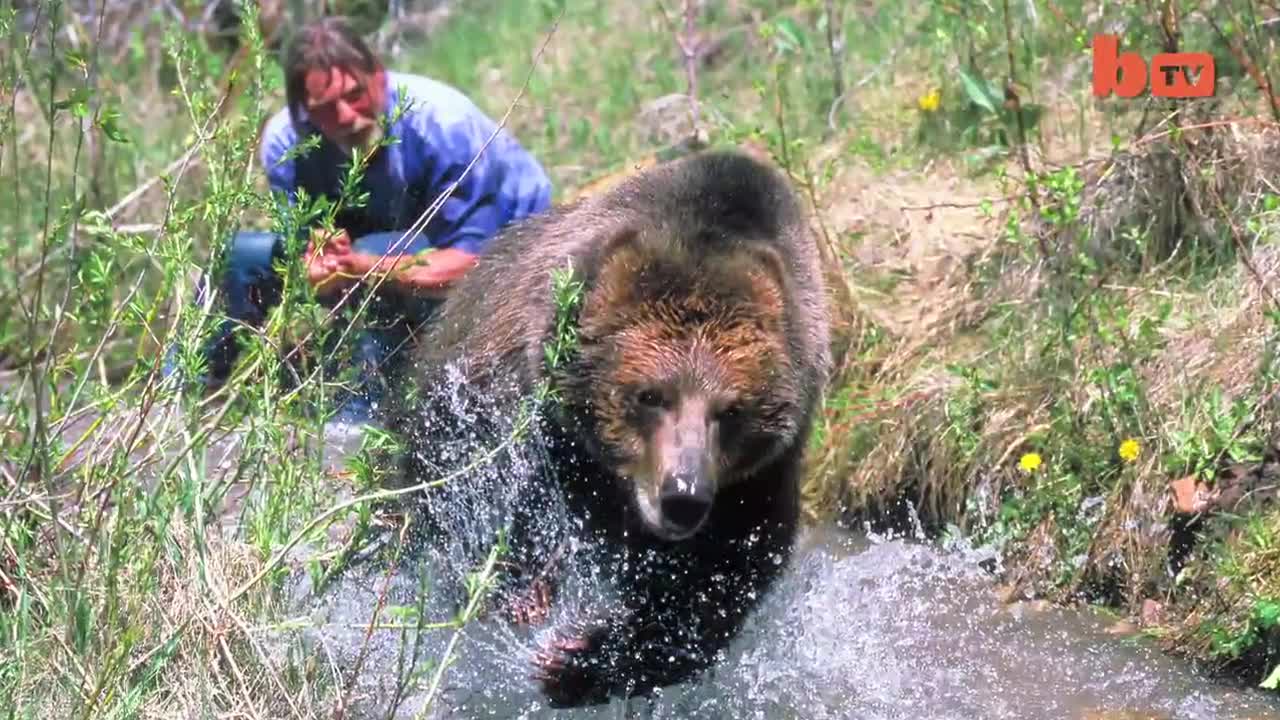>Grizzly- Това е домашен любимец...