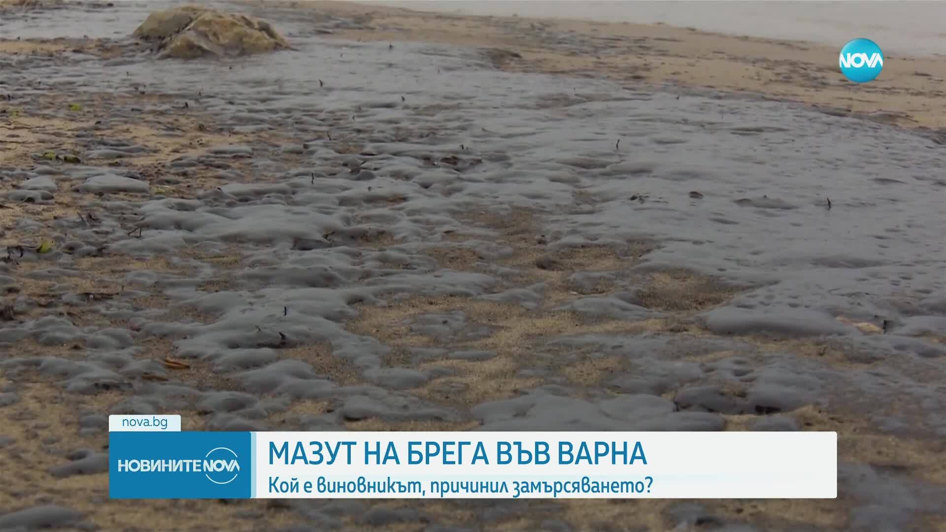Проверяват сигнал за петна от мазут в морето край Варна