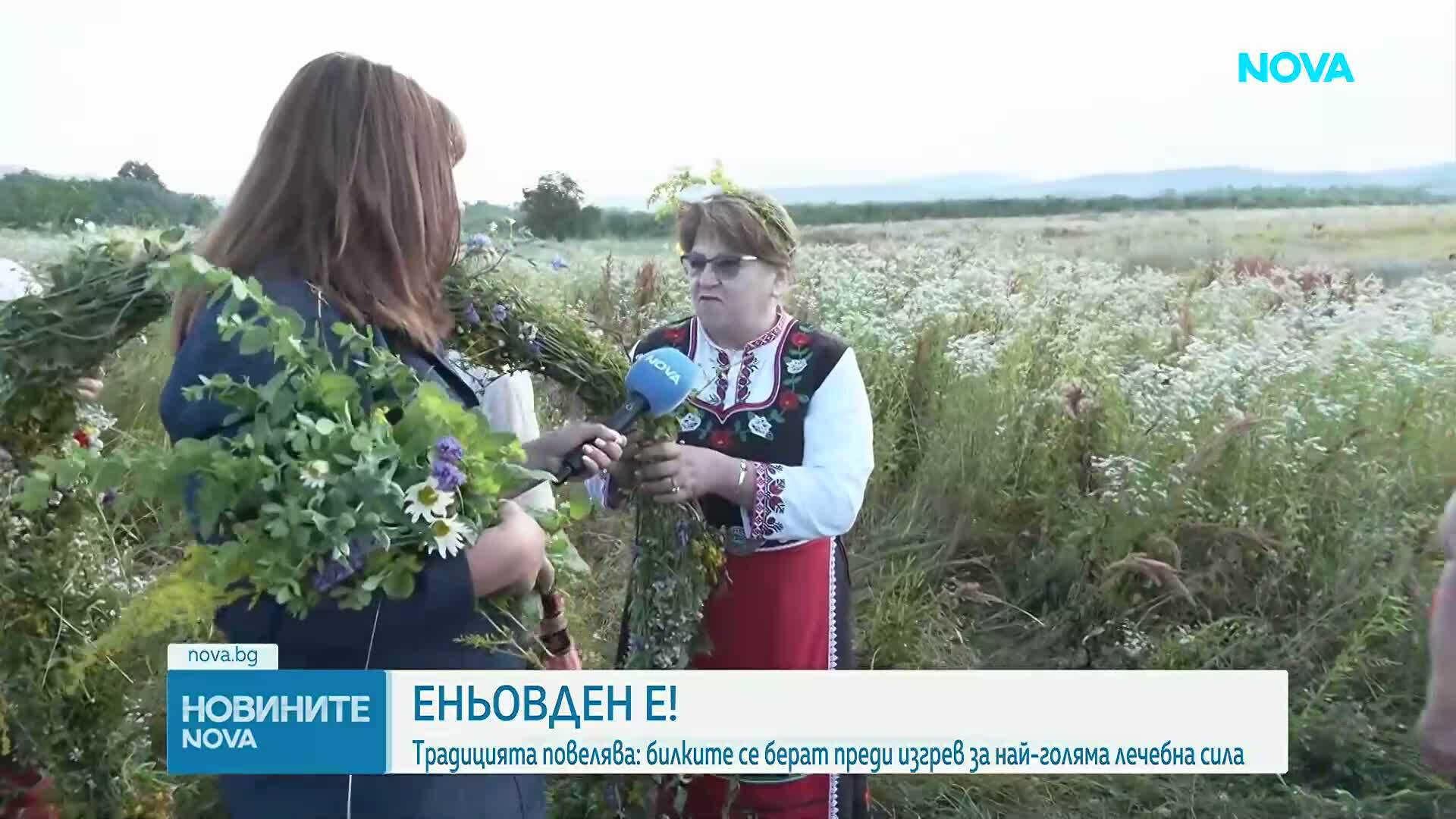 Магията на Еньовден: Когато слънцето „играе“, а билките лекуват 77 болести и половина