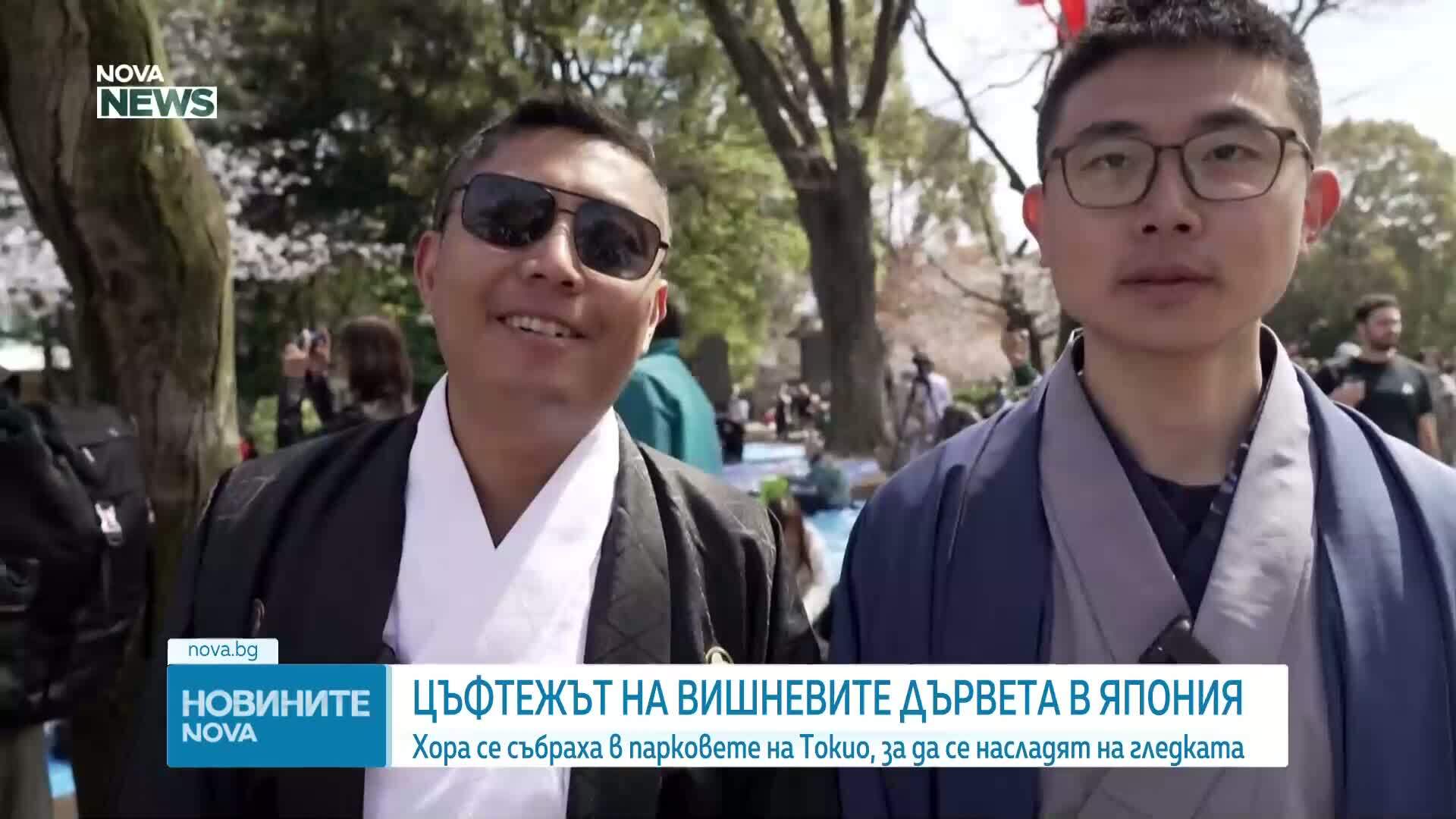 Цъфтежът на вишневите дървета в Япония: Хора се събраха в парковете, за да се насладят на гледката (ВИДЕО)
