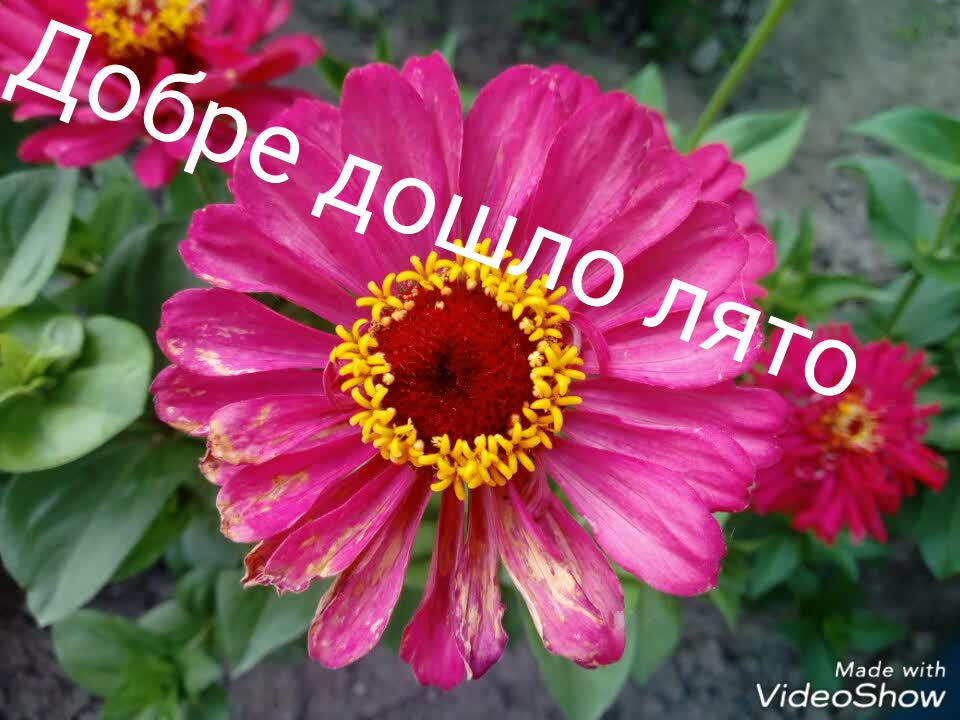 Лятото