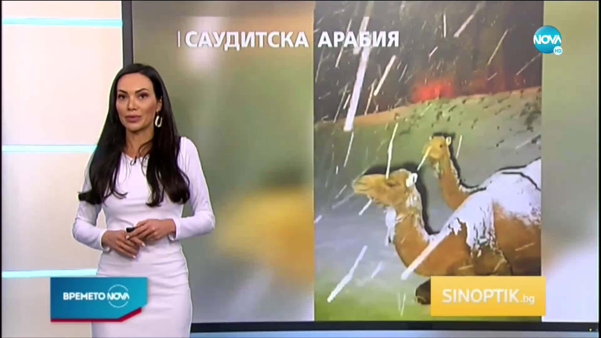 Прогноза за времето (19.02.2021 - обедна емисия)