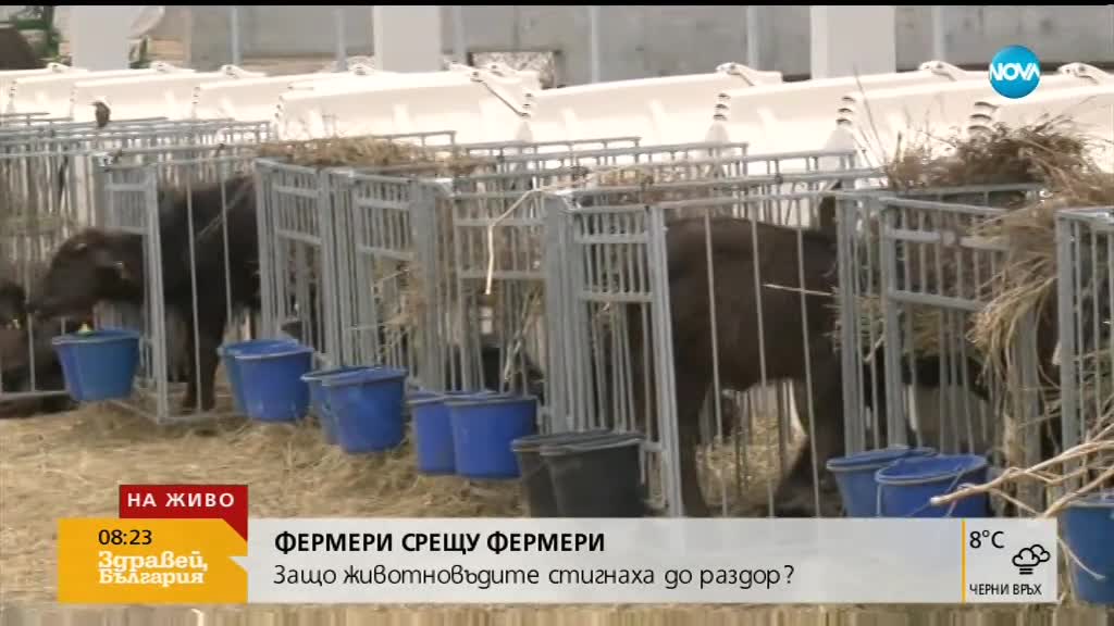 Собственик на ферма: Няма да разреша да се вземе втора проба от животните