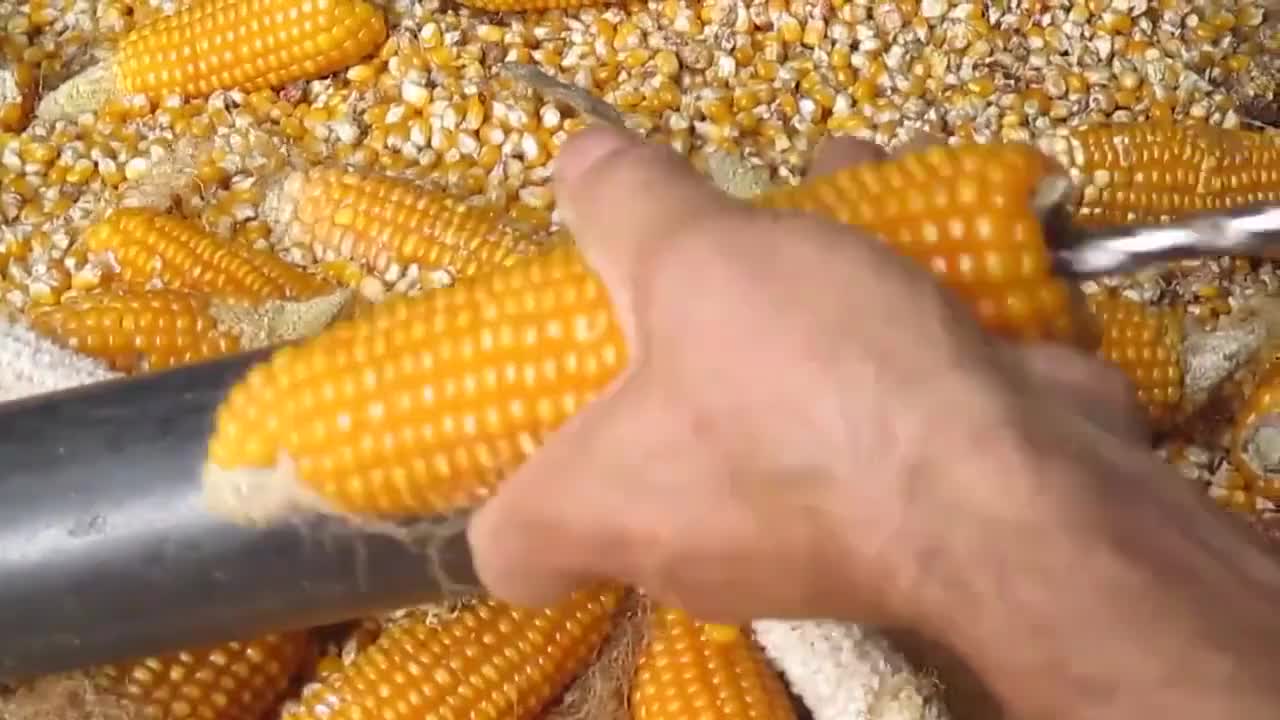 Най-оригиналният метод за белене на царевица!!!
