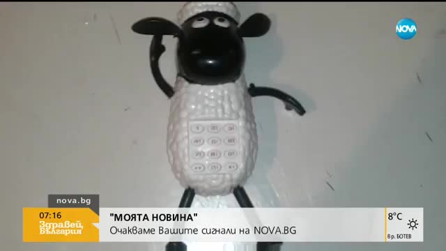 От "Моята новина": Детска играчка пее Аллах Акбар