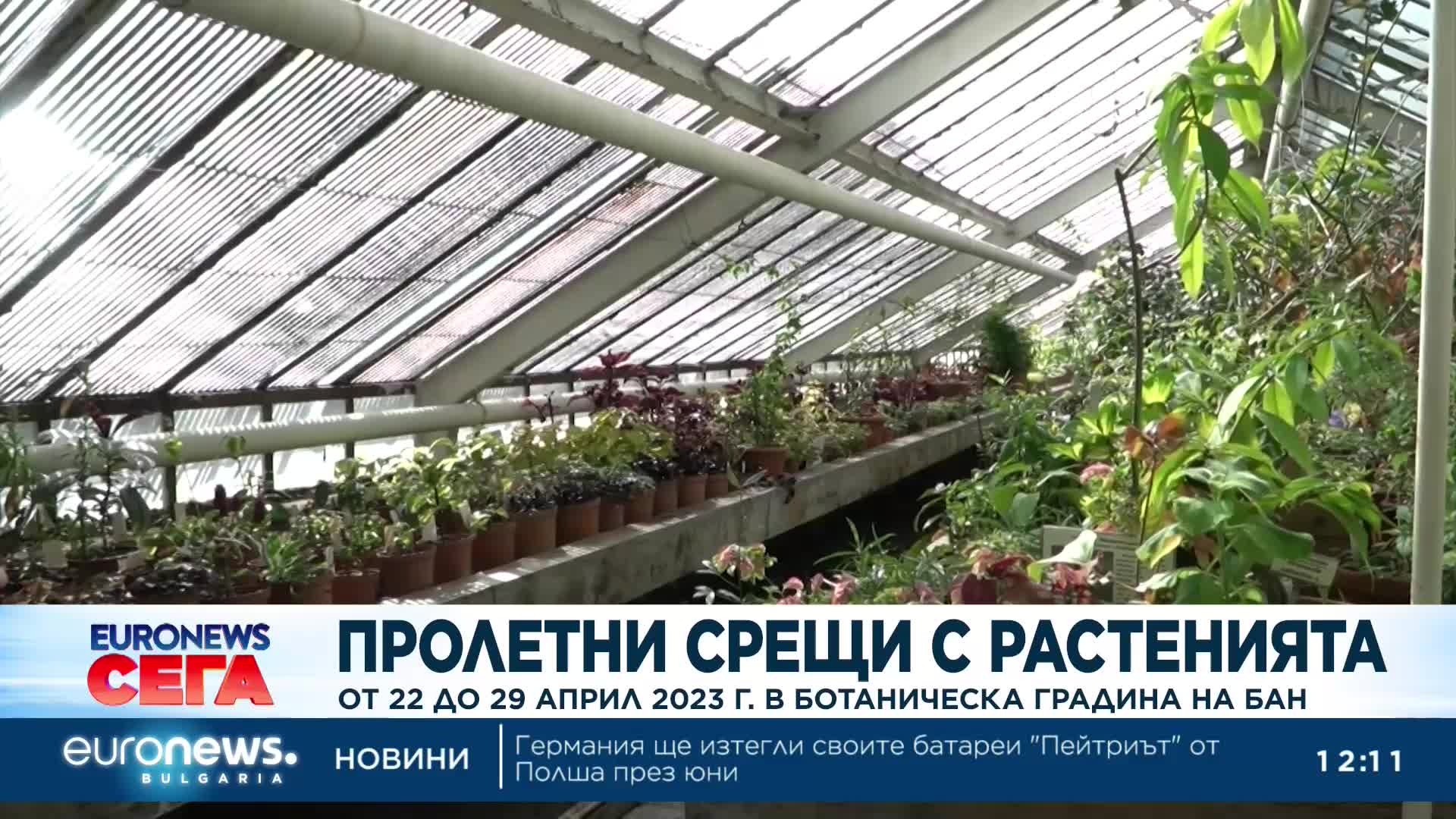 Ботаническата градина на БАН посреща посетители с експозиция, посветена на растенията епифити