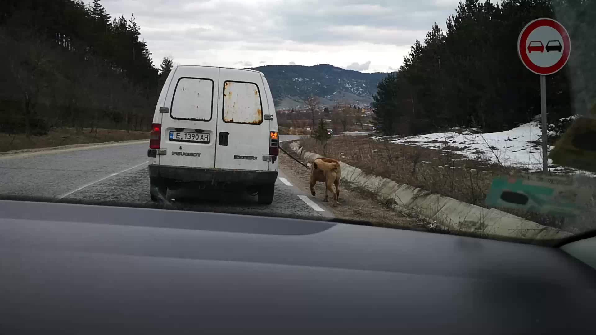 Как се разхожда куче