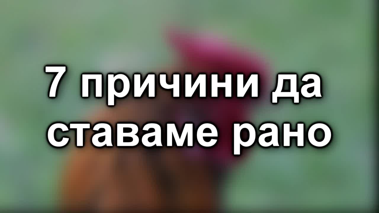 7 причини да ставаме рано