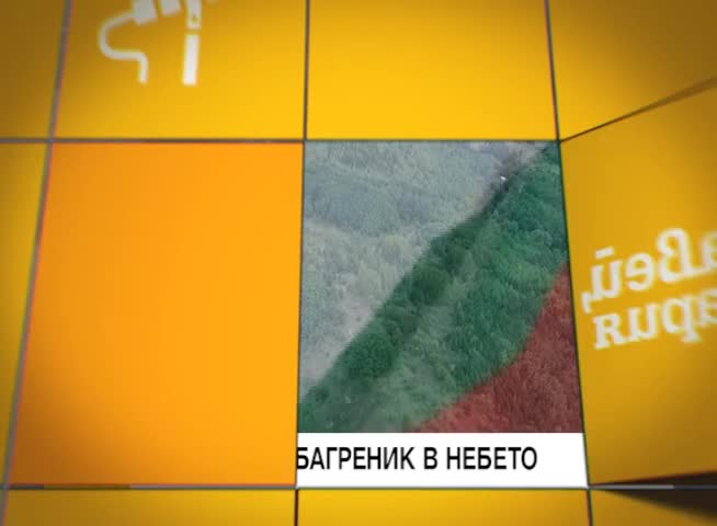 В "Здравей, България" на 3 март очаквайте