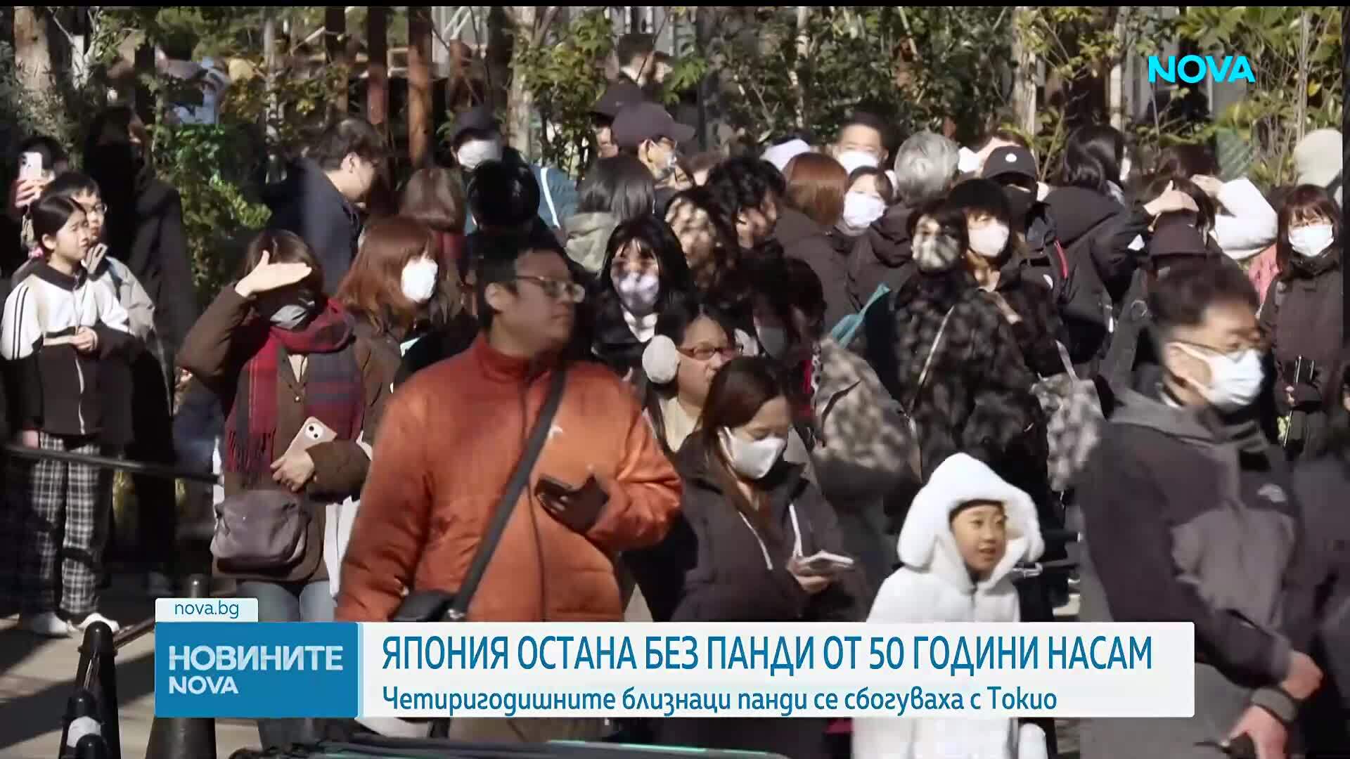 Япония остана без панди след 50 години: Близнаците Лей Лей и Сяо Сяо се връщат в Китай