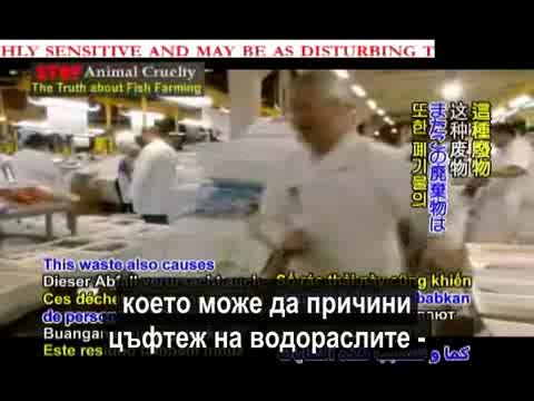 Истината за Развъждането на Рибите