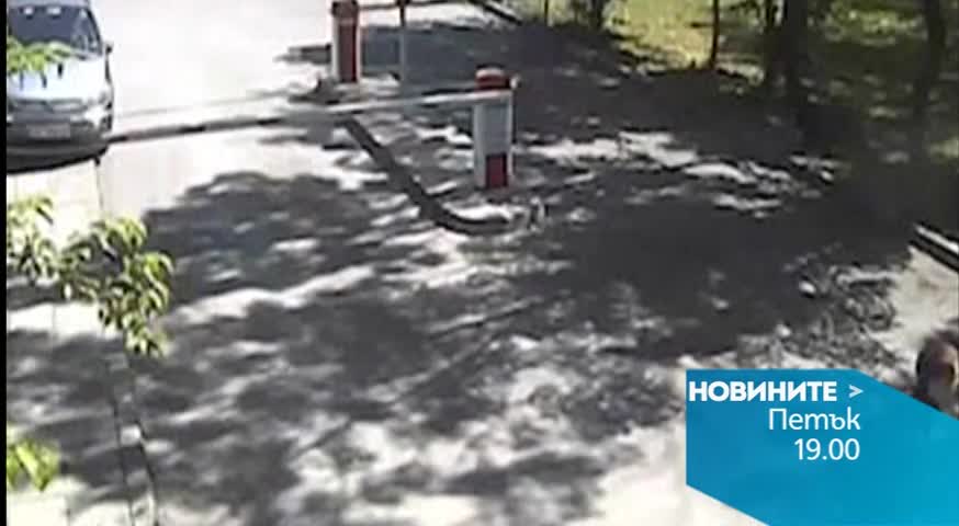 В централната емисия на Новините на Нова за 12 юни очаквайте
