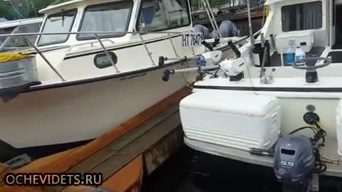 Никой от рибарите не очакваше такъв гост в залива !