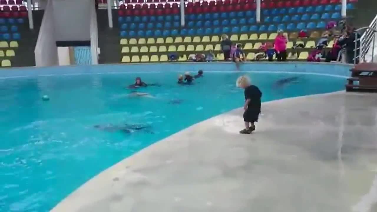 Дете и делфин... просто играят един с друг